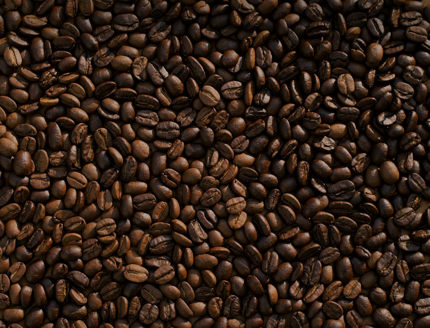 Roasted Indonesian coffee beans